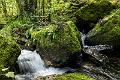 2017_09_24_Gorges de la Canche (0008)